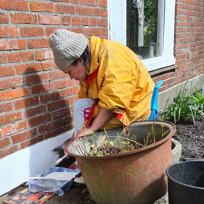 2025-04-24 Mawel maler sokkel