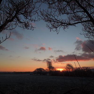 2015-01-23 Første rigtige vinterdag i Vittarp