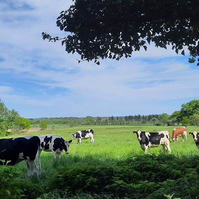 2027-05-27 sommerdag